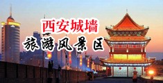 嫩b草影院中国陕西-西安城墙旅游风景区